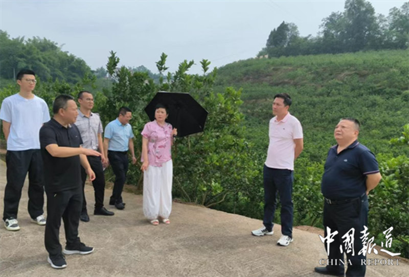 1751883401992248.jpg 1_副本.jpg