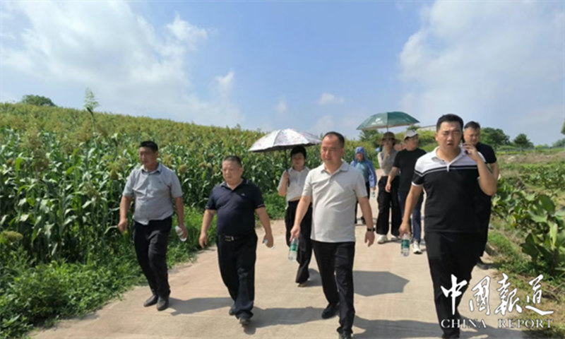 1751883521922661.jpg 6_副本.jpg