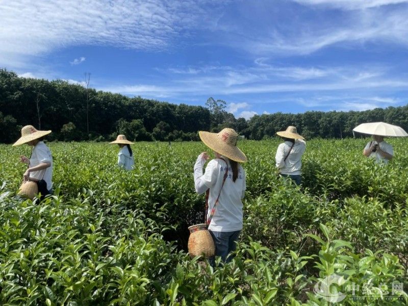 1753700060676522.jpg wps_doc_6.jpg