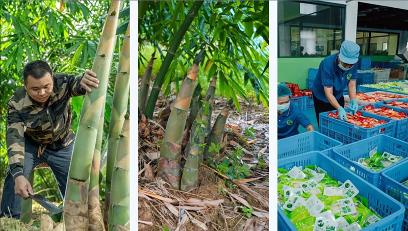 1753795658386993.jpg 1_副本.jpg