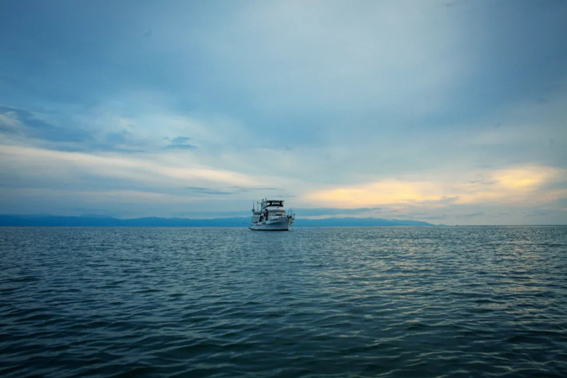 1753866865995591.jpg 1_副本.jpg