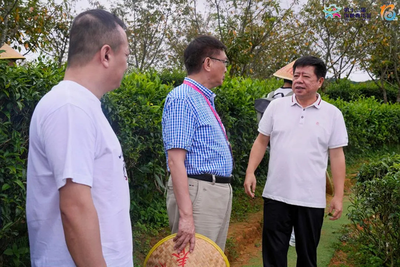 1754481168171539.jpg 2_副本.jpg