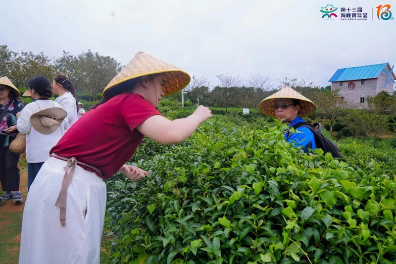 1754481202485351.jpg 5_副本.jpg