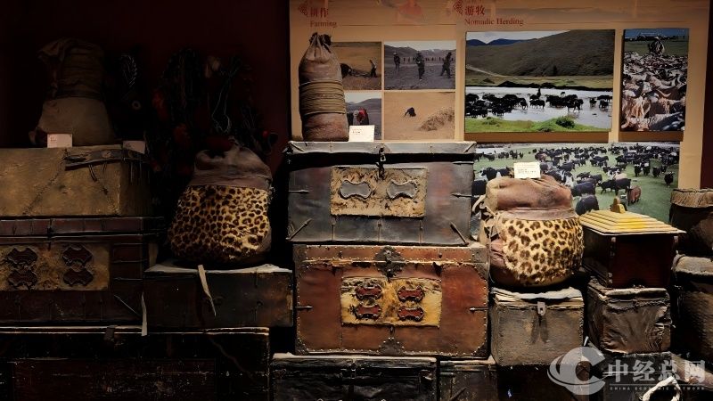 1754621386565812.jpg 4.jpg