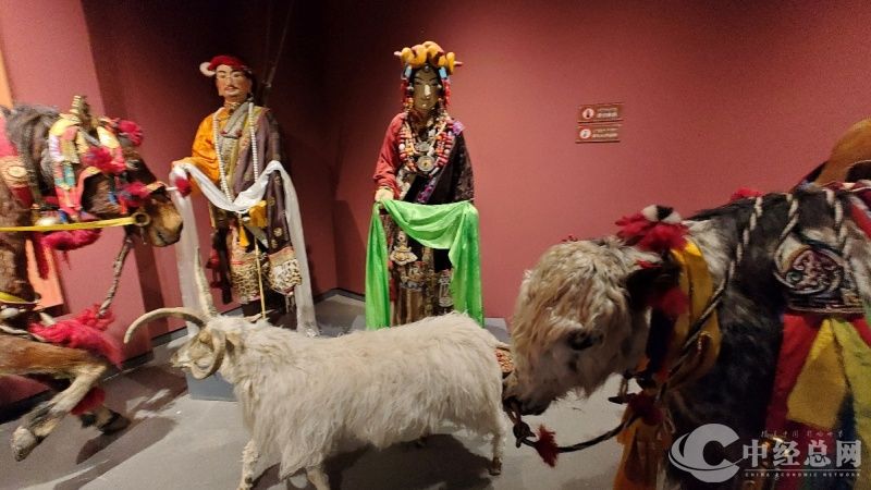 1754621417739234.jpg 7.jpg