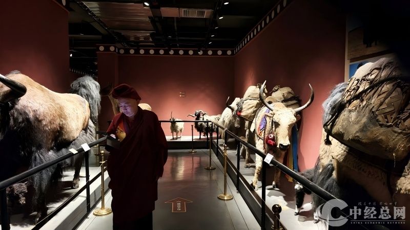 1754621426243440.jpg 8.jpg