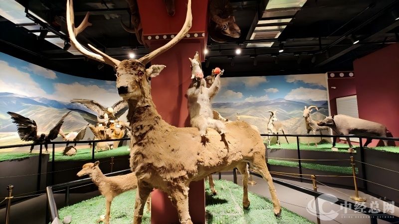 1754621469633312.jpg 13.jpg