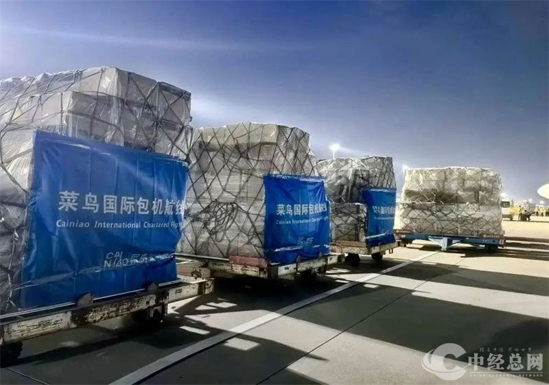 1754895702350297.jpg 菜鸟1.jpg