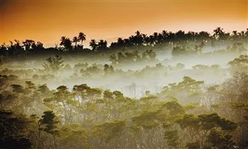 1755152043863208.jpg 5_副本.jpg