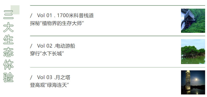 1755152200516568.jpg 44_副本.jpg