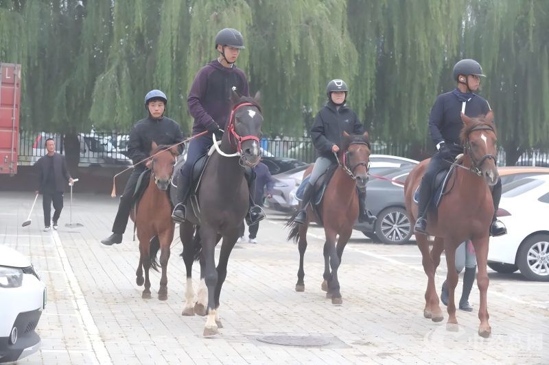 1758766776848554.jpg 6(1).jpg