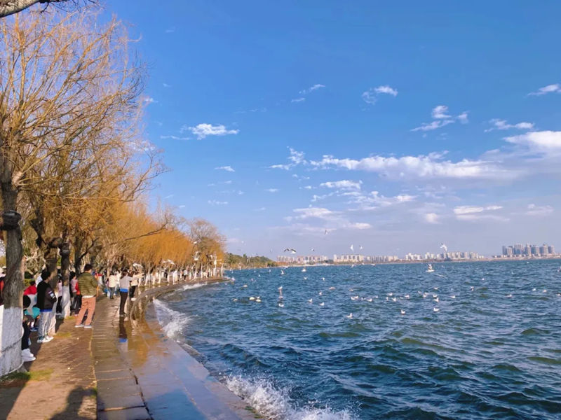 1760274116100480.jpg 1_副本.jpg