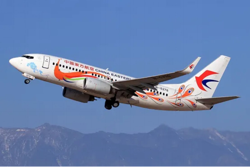 1762754808870735.jpg 12_副本.jpg