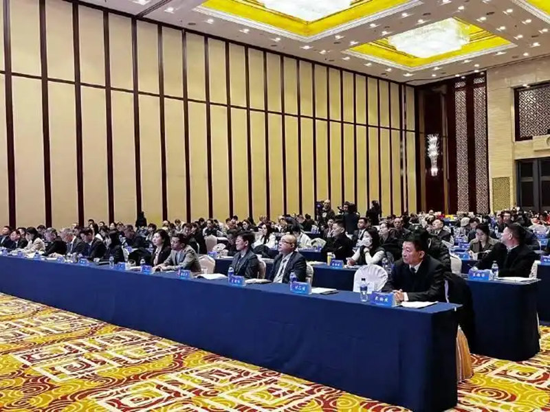 1764402795890714.jpg 1_副本.jpg