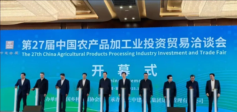 1764772258682995.jpg 12_副本.jpg