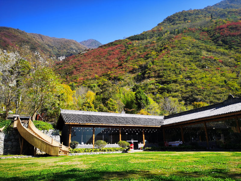 1766327617962009.jpg 图片9.jpg