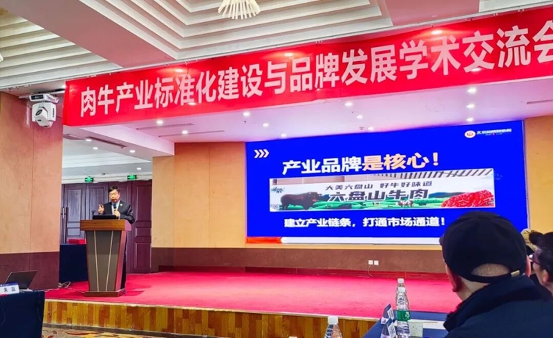 1767711167420328.jpg 3_副本.jpg