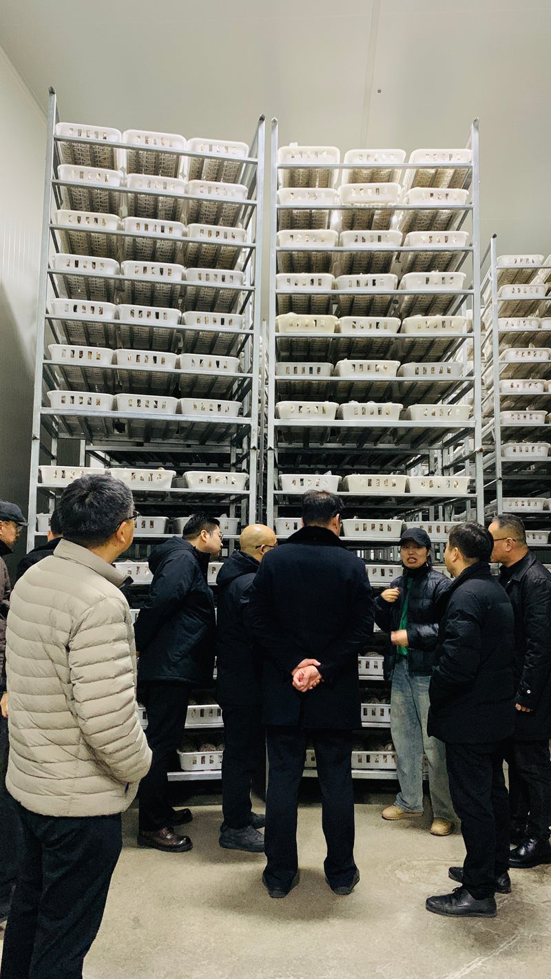 1769837795622203.jpg 微信图片_20260131132628_765_21.jpg