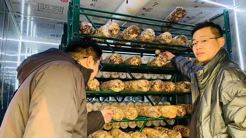 1769837805140008.jpg 微信图片_20260131132631_768_21.jpg