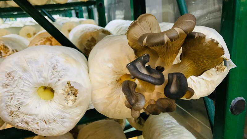 1769837813363884.jpg 微信图片_20260131132634_770_21.jpg