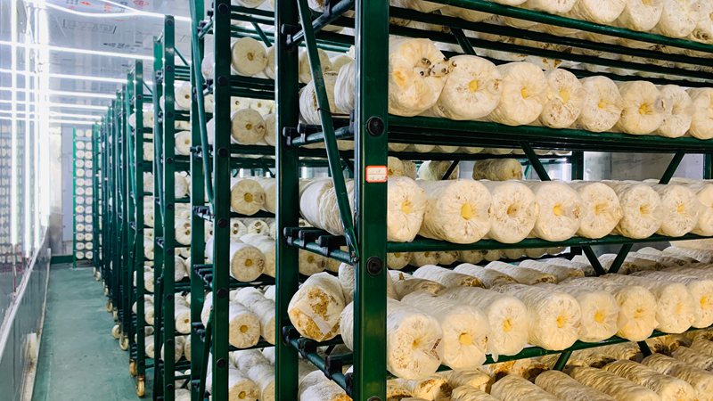 1769837826499456.jpg 微信图片_20260131132635_771_21.jpg