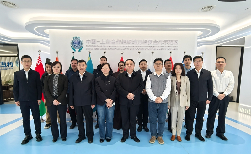 1769924272537569.jpg be5f4d88abf8e378e93b5e1fb6d37ce4.jpg