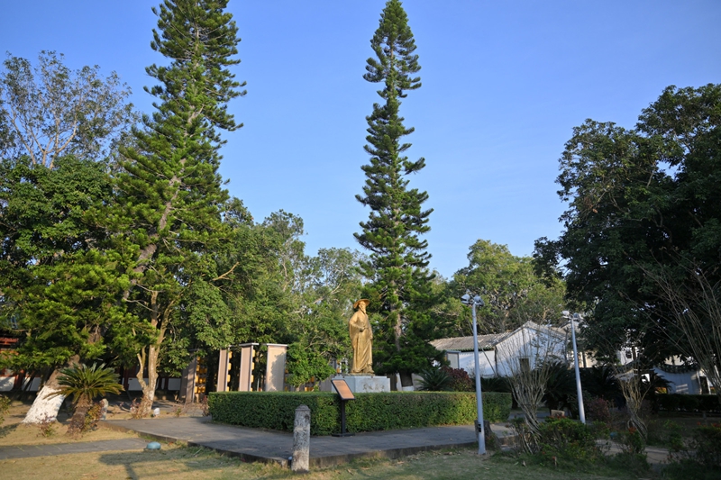 1770044718226593.jpg 5.jpg