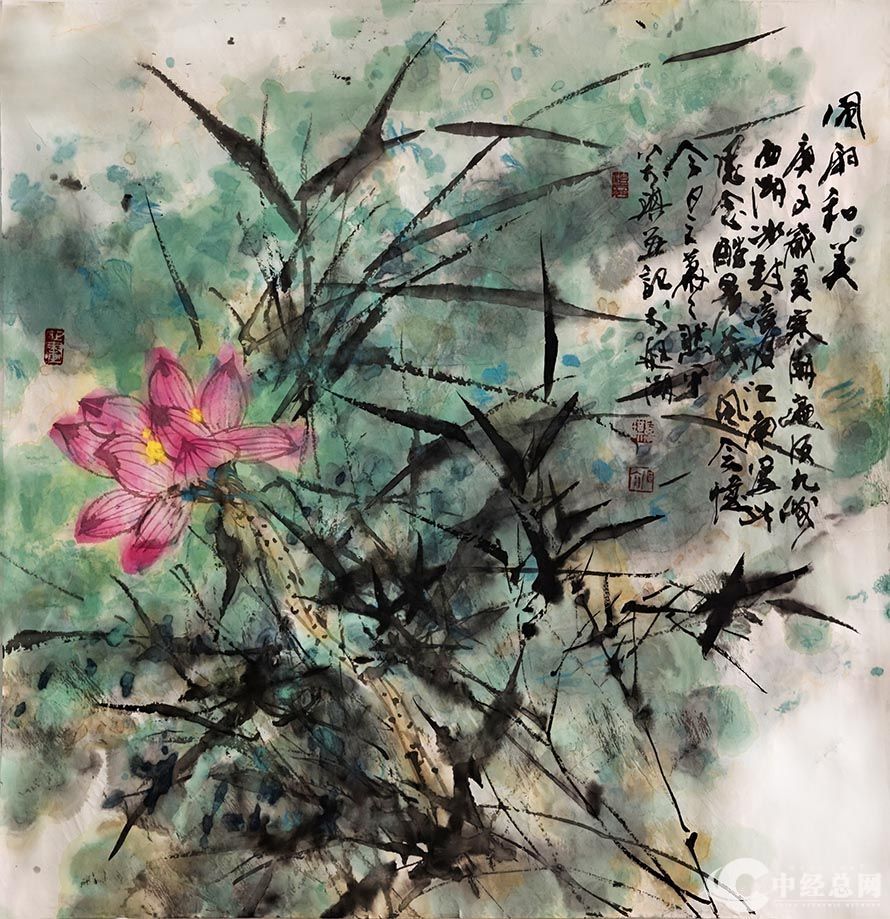 1770306217643733.jpg 6.jpg