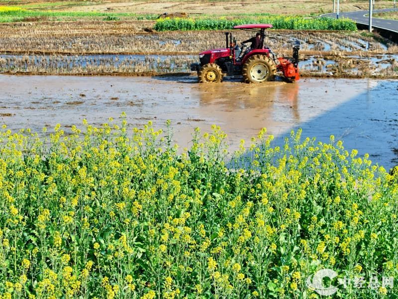 1773285589499086.jpg 2.jpg