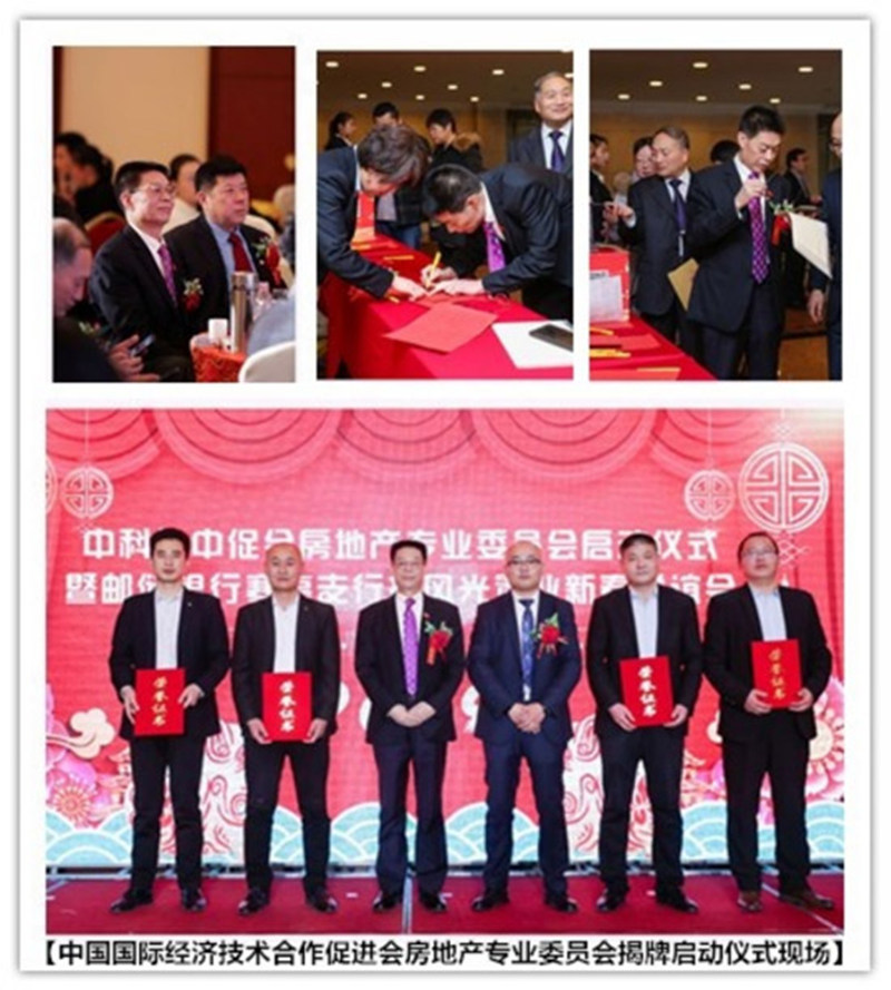 1775110065511141.jpg 图片12.jpg