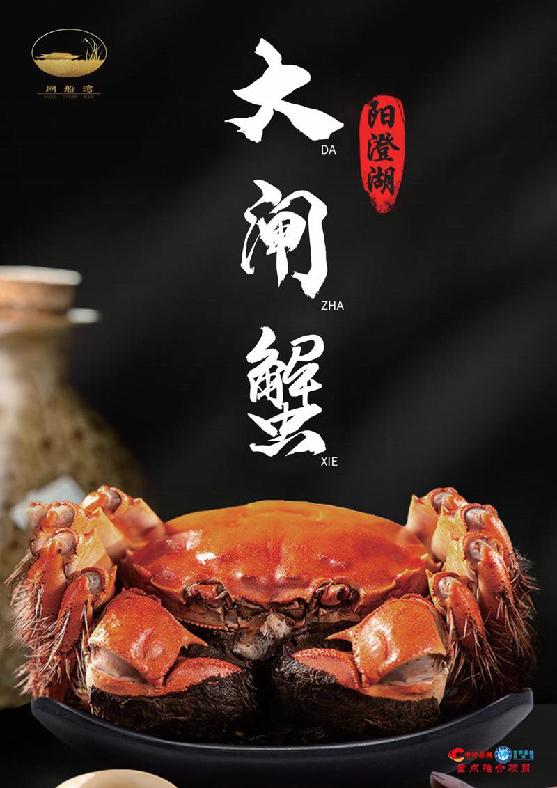 阳澄湖大闸蟹【中经总网优选推介】_00.jpg