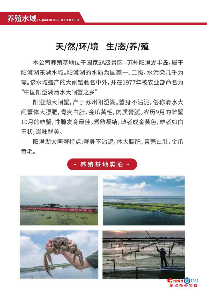 阳澄湖大闸蟹【中经总网优选推介】_03.jpg