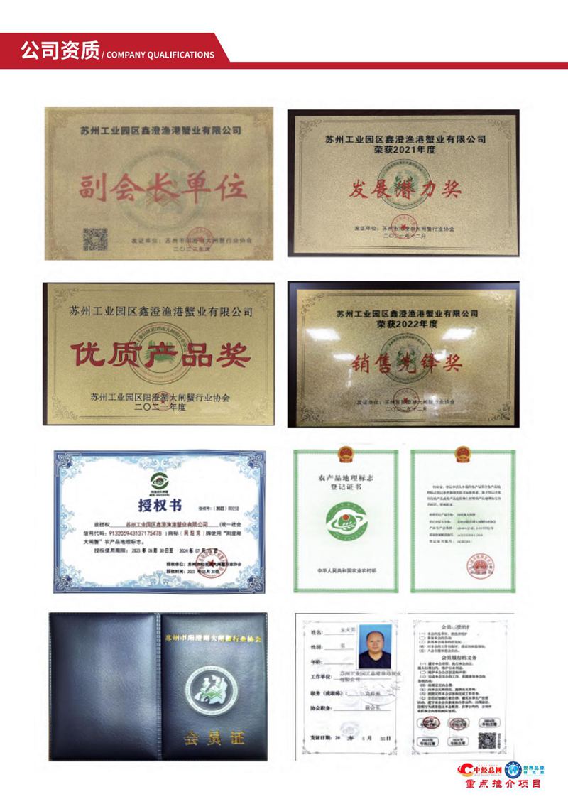 阳澄湖大闸蟹【中经总网优选推介】_04.jpg