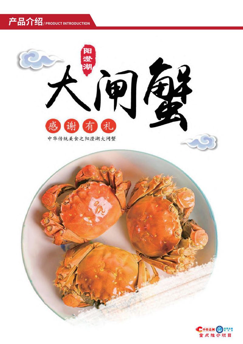 阳澄湖大闸蟹【中经总网优选推介】_09.jpg