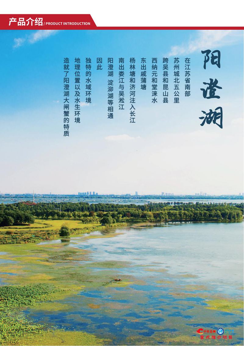 阳澄湖大闸蟹【中经总网优选推介】_11.jpg