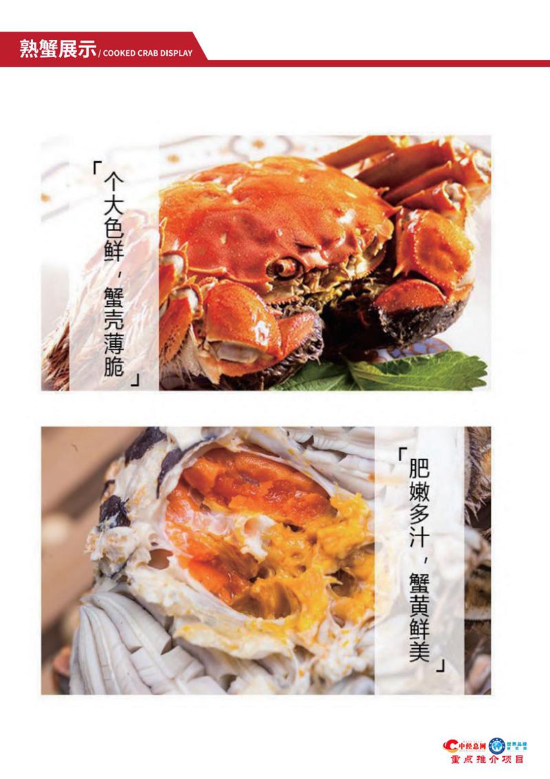 阳澄湖大闸蟹【中经总网优选推介】_16.jpg