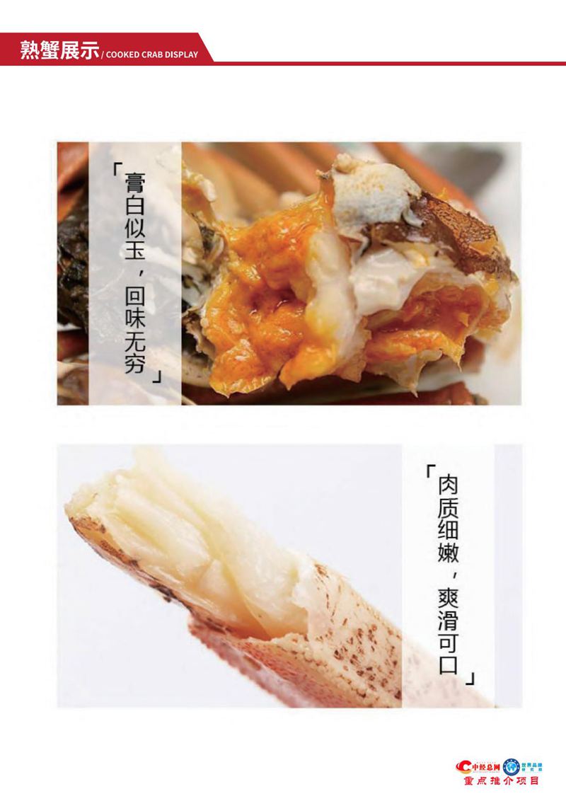 阳澄湖大闸蟹【中经总网优选推介】_17.jpg